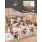                                                      Lenjerie Finet 6 Piese Elegant Pucioasa